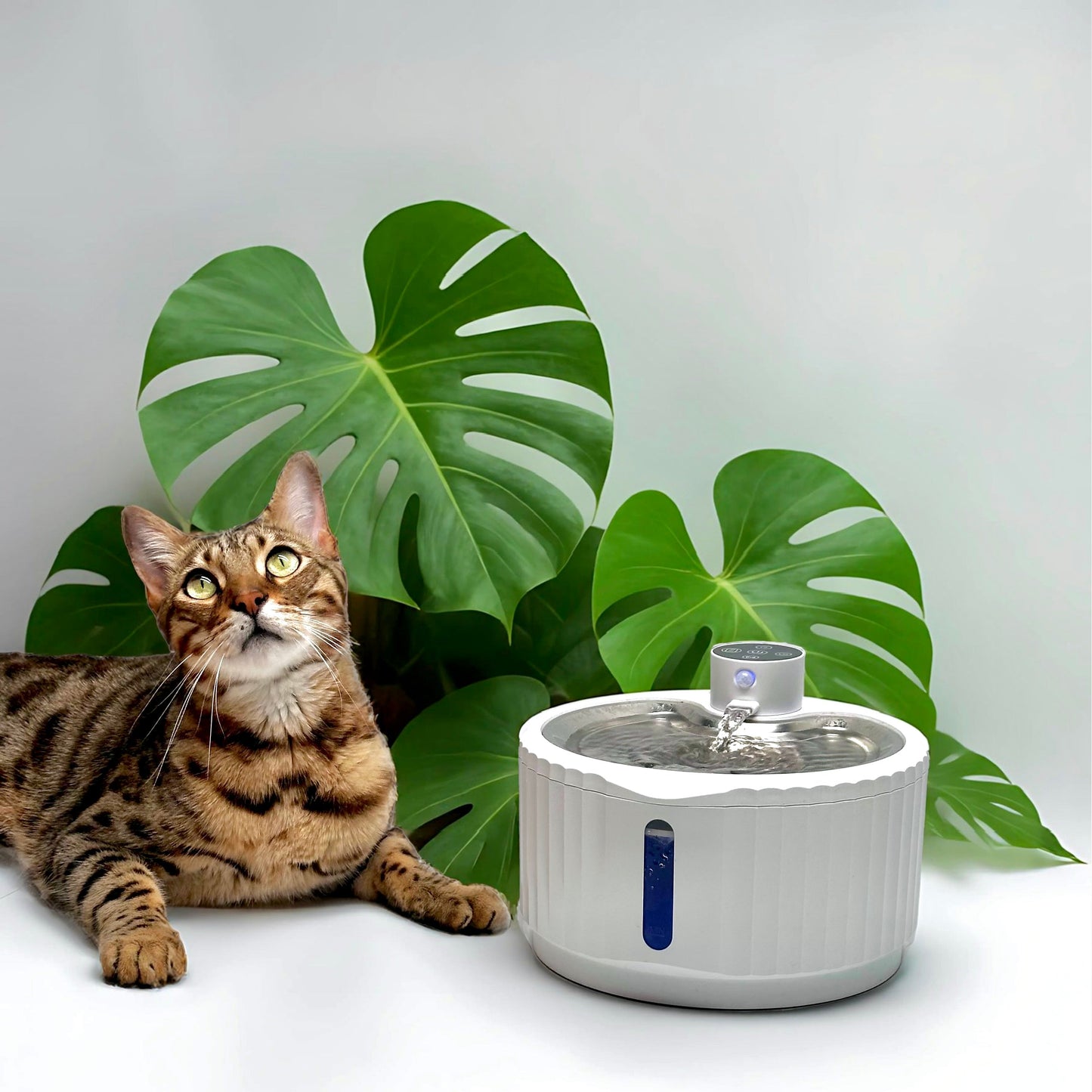 Fontaine à eau sans fil pour chat en acier inoxydable Fontaine Smart 2,8L