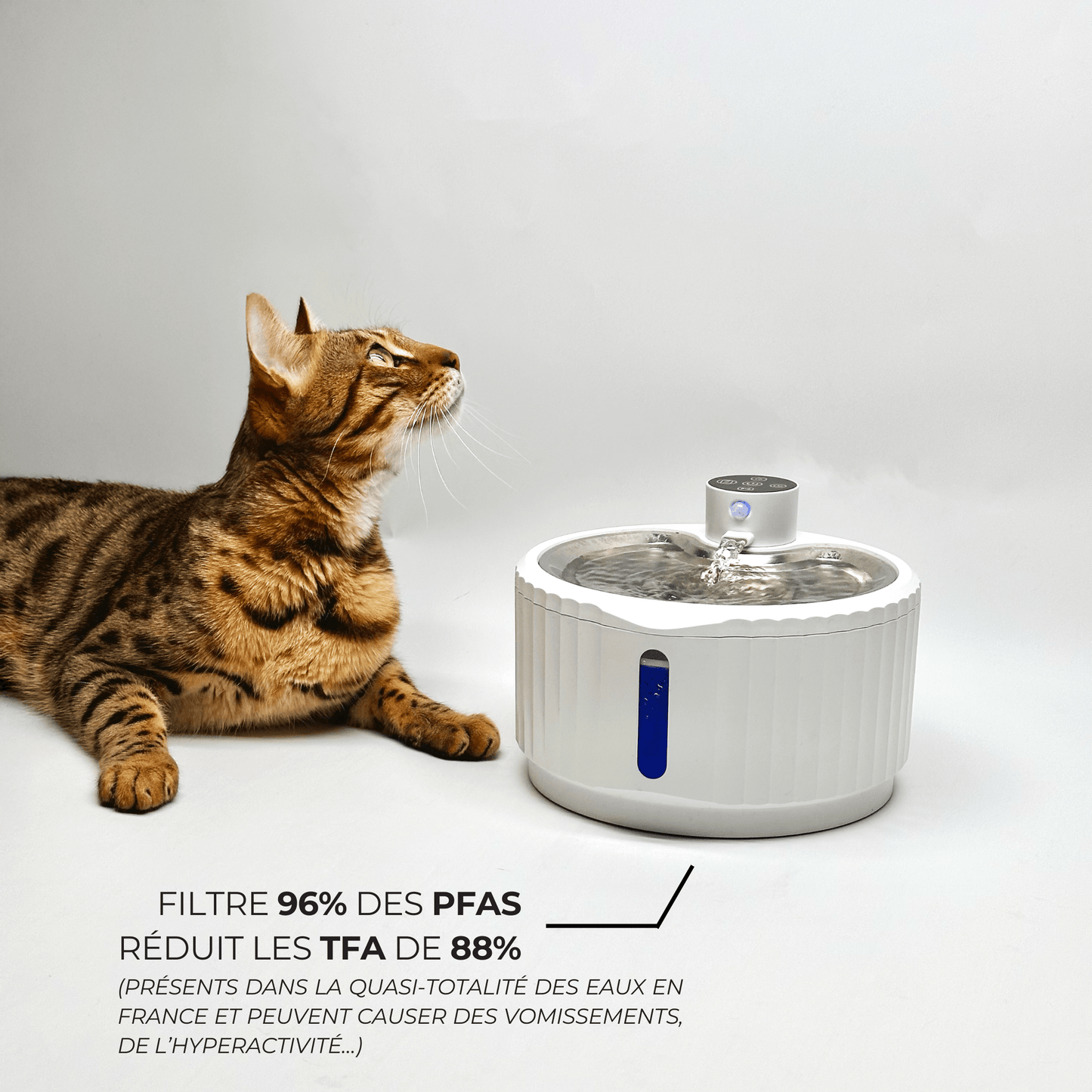Fontaine Smart sans fil rechargeable pour chat vue de dessus plateau inox