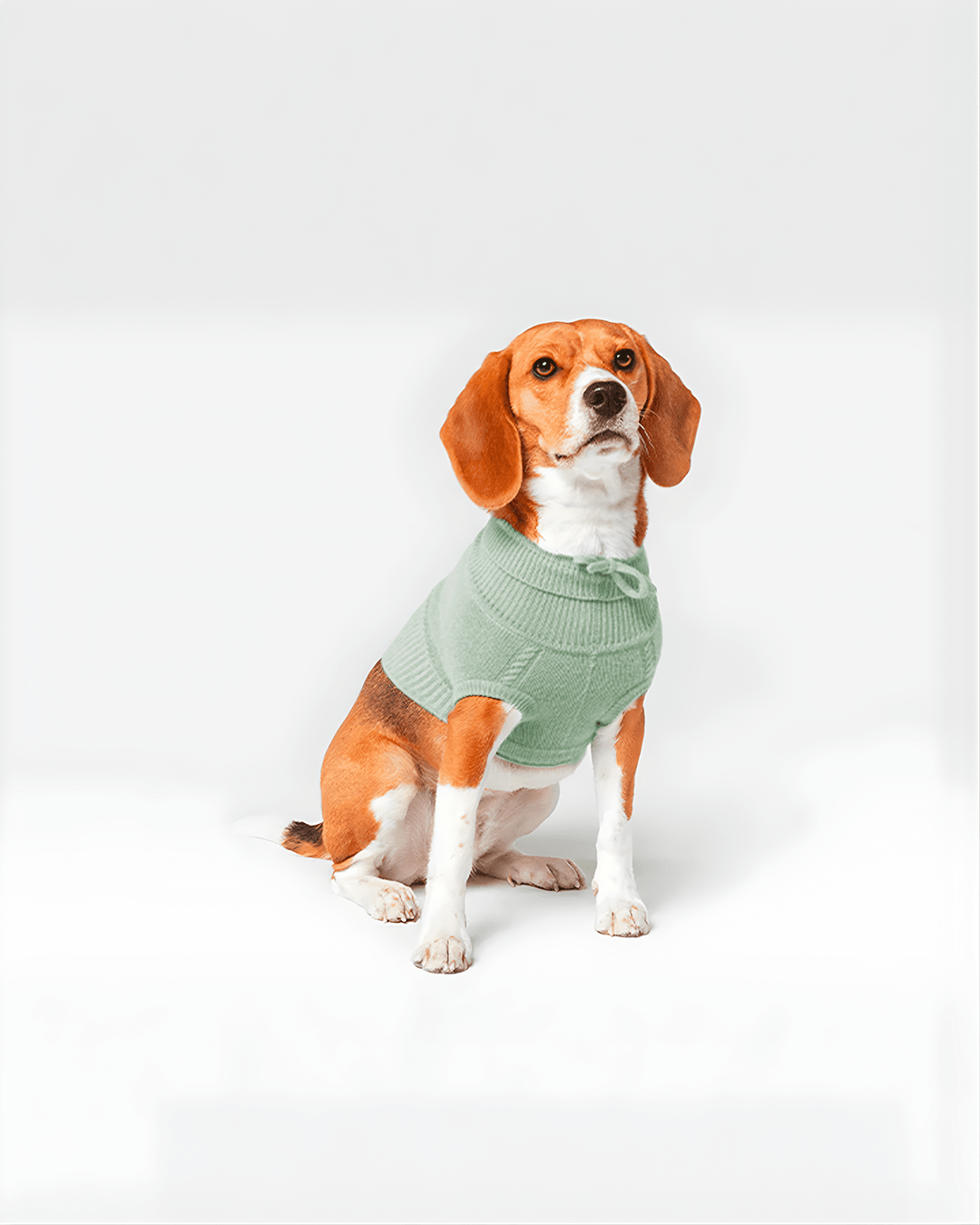 Le Léonie - Pull pour chien en cachemire - Léonie Delacroix