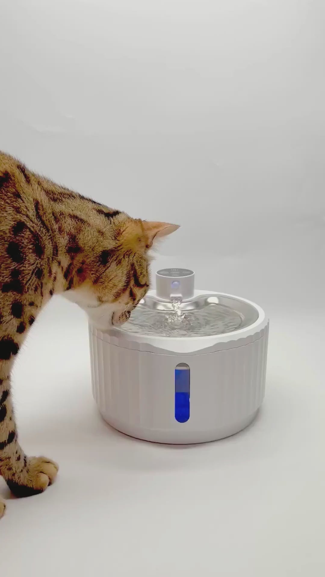 Installation et recharge de la fontaine à eau sans fil Fontaine Smart
